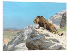 Magnettafel Lauernder Löwe