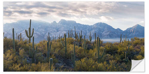 Wandsticker Saguaro Kaktus mit Bergkette