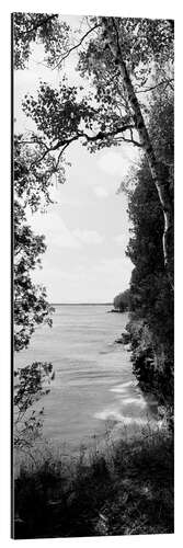 Aluminium print Trees on the cliff