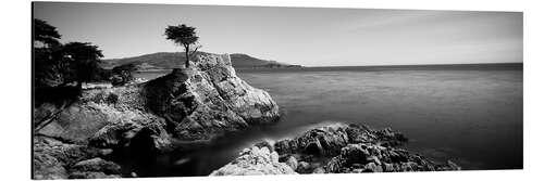 Tableau en aluminium Cyprès sur la côte