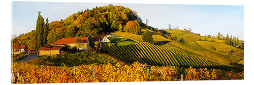 Cuadro de metacrilato Ruta del vino del sur de Estiria en otoño