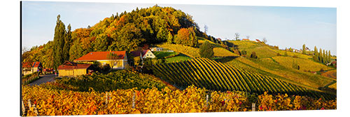 Aluminiumtavla South Styrian Wine Route in autumn