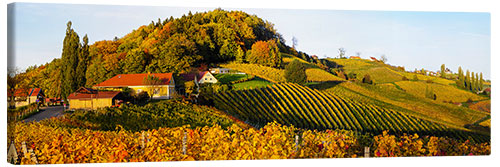 Quadro em tela Rota do vinho do Sul da Estíria no outono
