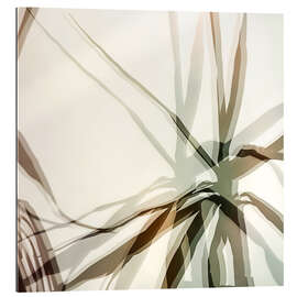 Gallery print Dracaena