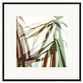 Impresión de arte enmarcada Dracaena II - Carmen Maria