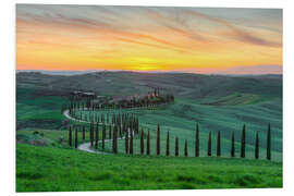 Foam board print Baccoleno in Tuscany