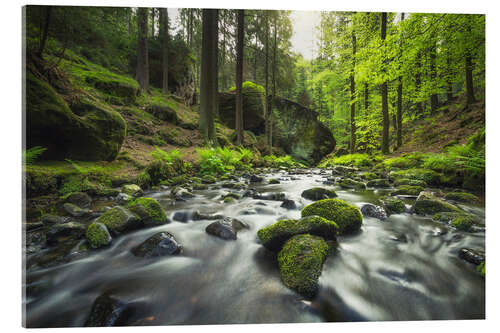 Acrylglas print River in the Bohemian Switzerland