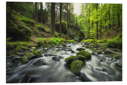 Aluminium print River in the Bohemian Switzerland