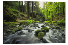 Aluminium print River in the Bohemian Switzerland