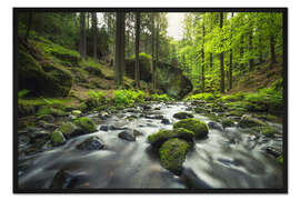 Gerahmter Kunstdruck Fluss in der Böhmischen Schweiz