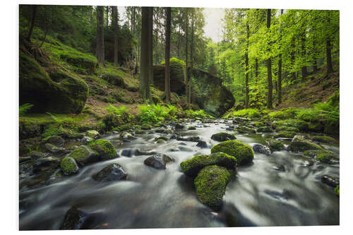 PVC print River in the Bohemian Switzerland