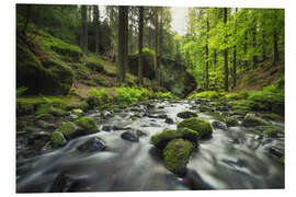 Foam board print River in the Bohemian Switzerland