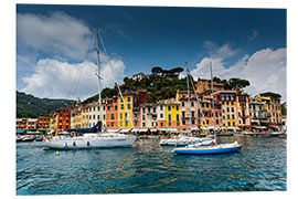 Foam board print Portofino, Italien