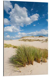 Aluminium print In the dunes