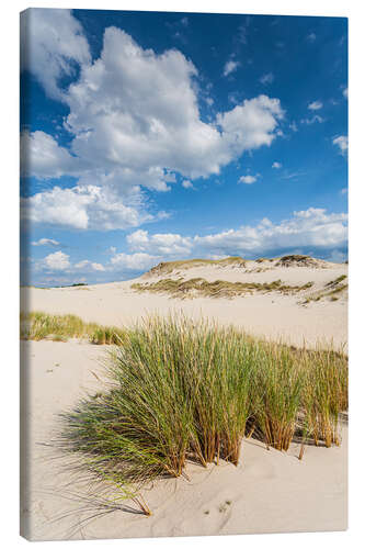 Tableau sur toile Dans les dunes