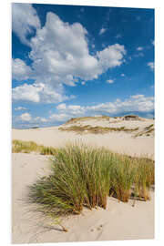 Tableau en PVC Dans les dunes