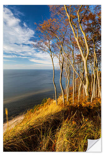 Naklejka na ścianę On the cliff