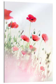 Gallery print Dancing Poppies I