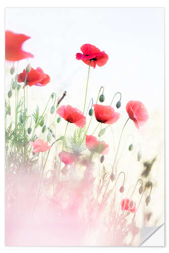 Wall sticker Dancing Poppies I