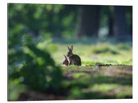 Galleritryk Sprint Rabbits in a Forest