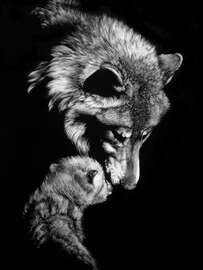 Magnettafel Zärtlichkeit