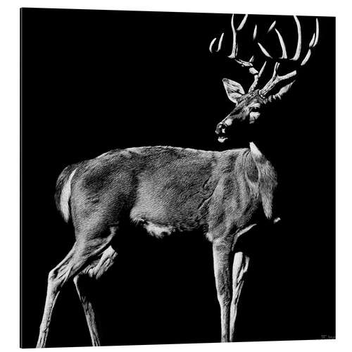 Tableau en aluminium Beau cerf