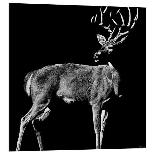 Foam board print Handsome stag