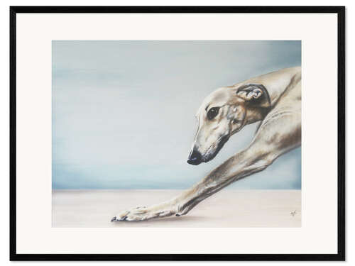 Stampa artistica con cornice Whippet