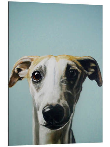 Obraz na aluminium Whippet portrait