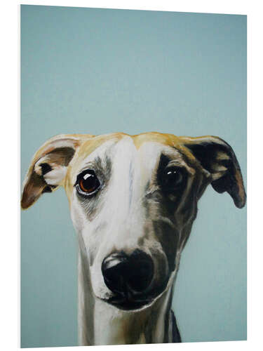 Foam board print Whippet portrait