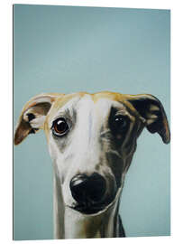 Gallery print Whippet portrait