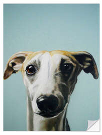 Wall sticker Whippet portrait