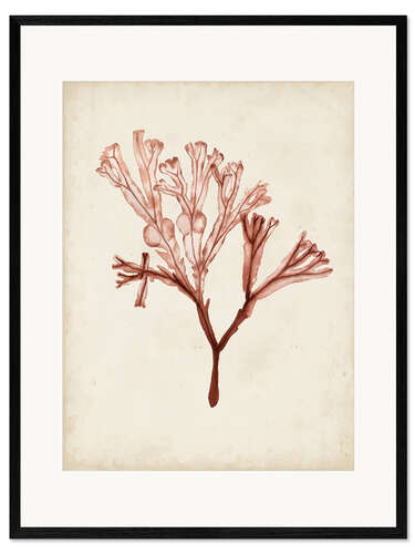 Inramat konsttryck Sea algae V