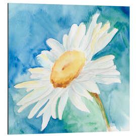 Aluminium print Daisies I