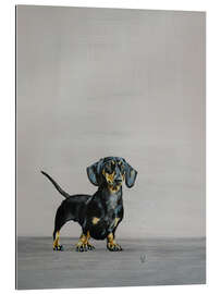 Gallery print Little Dachshund