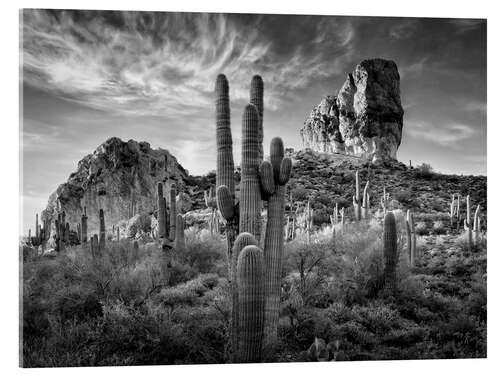 Acrylic print South American landscape