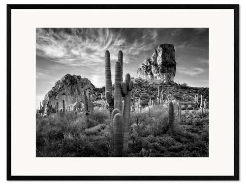 Inramat konsttryck South American landscape