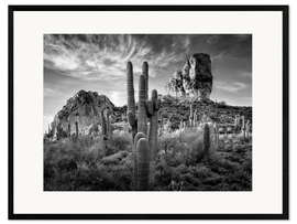 Inramat konsttryck South American landscape