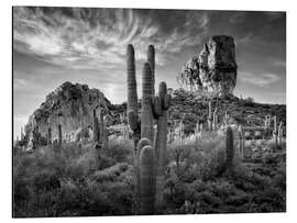 Magnettafel Südamerikanische Landschaft