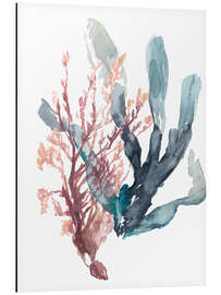 Alubild Süßer Seetang I