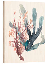Trätavla Sweet kelp I - Jennifer Goldberger