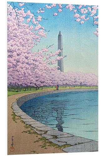 Foam board print Washington Monument on the Potomac River