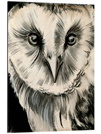 Aluminiumsbilde Owl portrait I