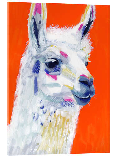 Acrylic print Pop Art Lama