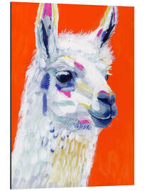 Magnettafel Pop Art Lama