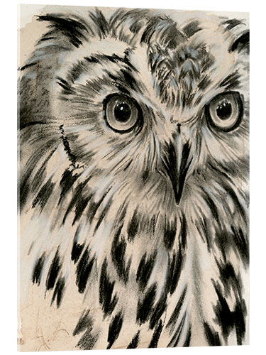 Akrylglastavla Owls portrait II