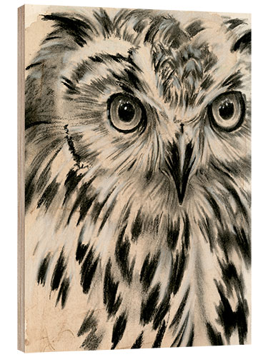 Obraz na drewnie Owls portrait II