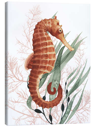 Canvas print Treasures of the sea horse I