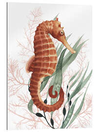 Gallery print Treasures of the sea horse I