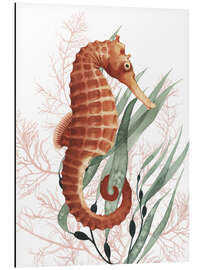 Magnettafel Schätze des Seepferdchens I